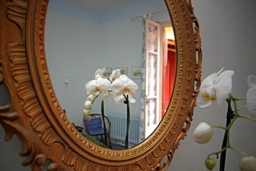 Logis Hotel Saint Clair Albi Eksteriør bilde